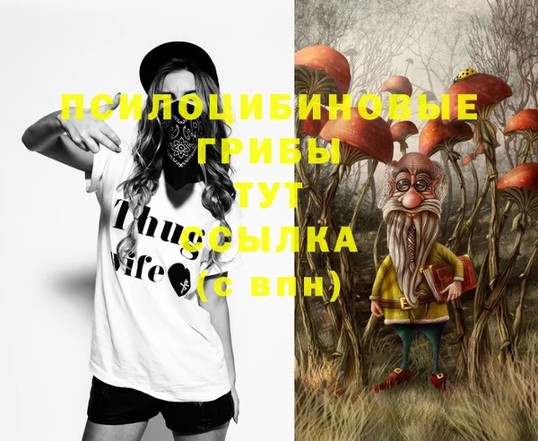 гидропоника Балахна