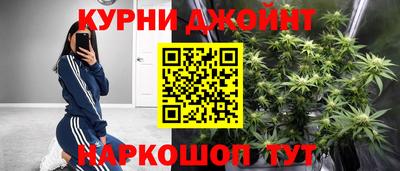 стаф Камышлов