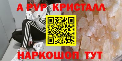 стаф Камышлов