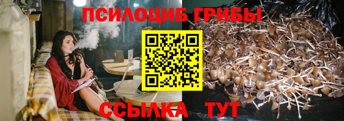 Псилоцибиновые грибы GOLDEN TEACHER Мурманск