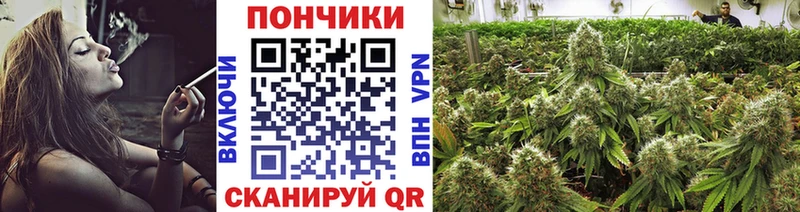 Шишки марихуана LSD WEED  купить  сайты  Мурманск 